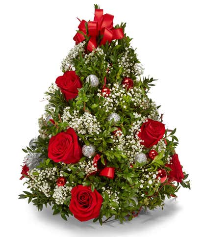 Oh Christmas Tree!