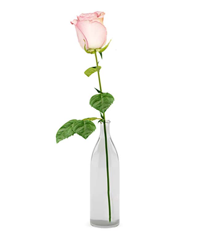 Single Pink Rose Delivered