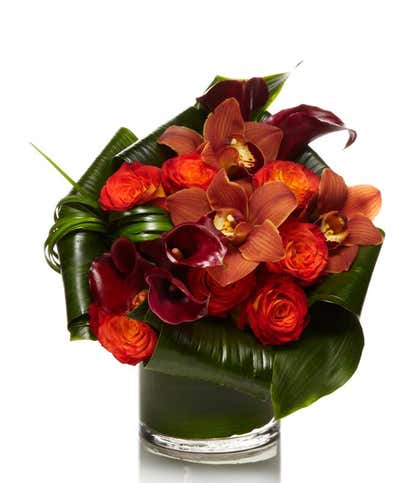 Orchid and Rose Elegance