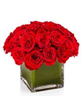 Red Rose Cube
