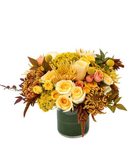 Chic Citrine  