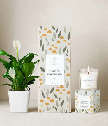 Lula's Garden &reg; Sympathy Peace Lily Gift Set
