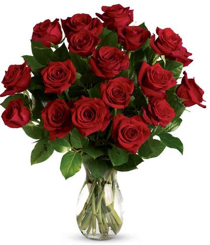 Classic Romance Red Roses - One Dozen