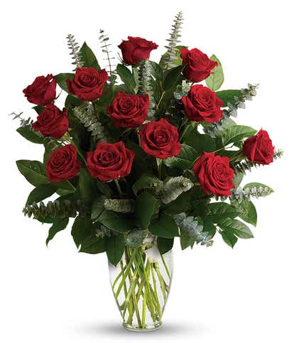 Grand Red Roses