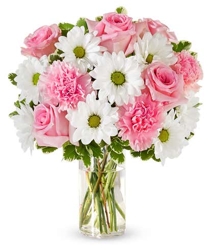 Pastel Daisy & Rose Delight