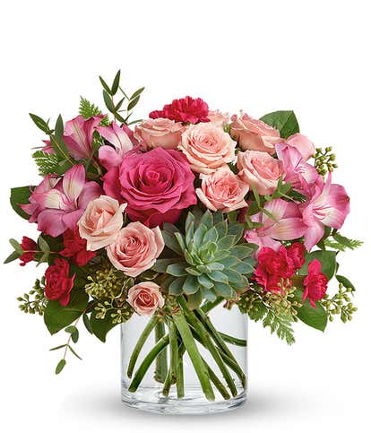 Pink Rose Succulent Garden