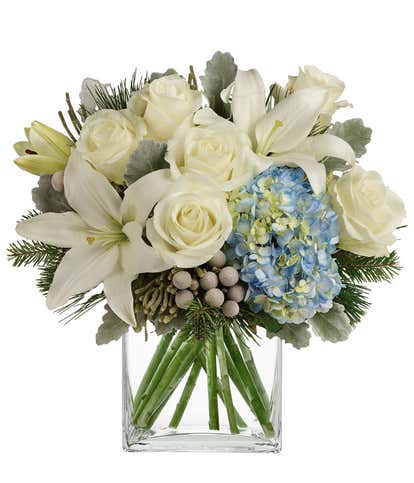 Serene Snowy Blooms