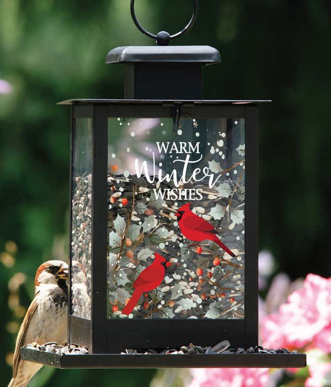 Black lantern-style bird feeder featuring a festive winter design with two red cardinals and the phrase